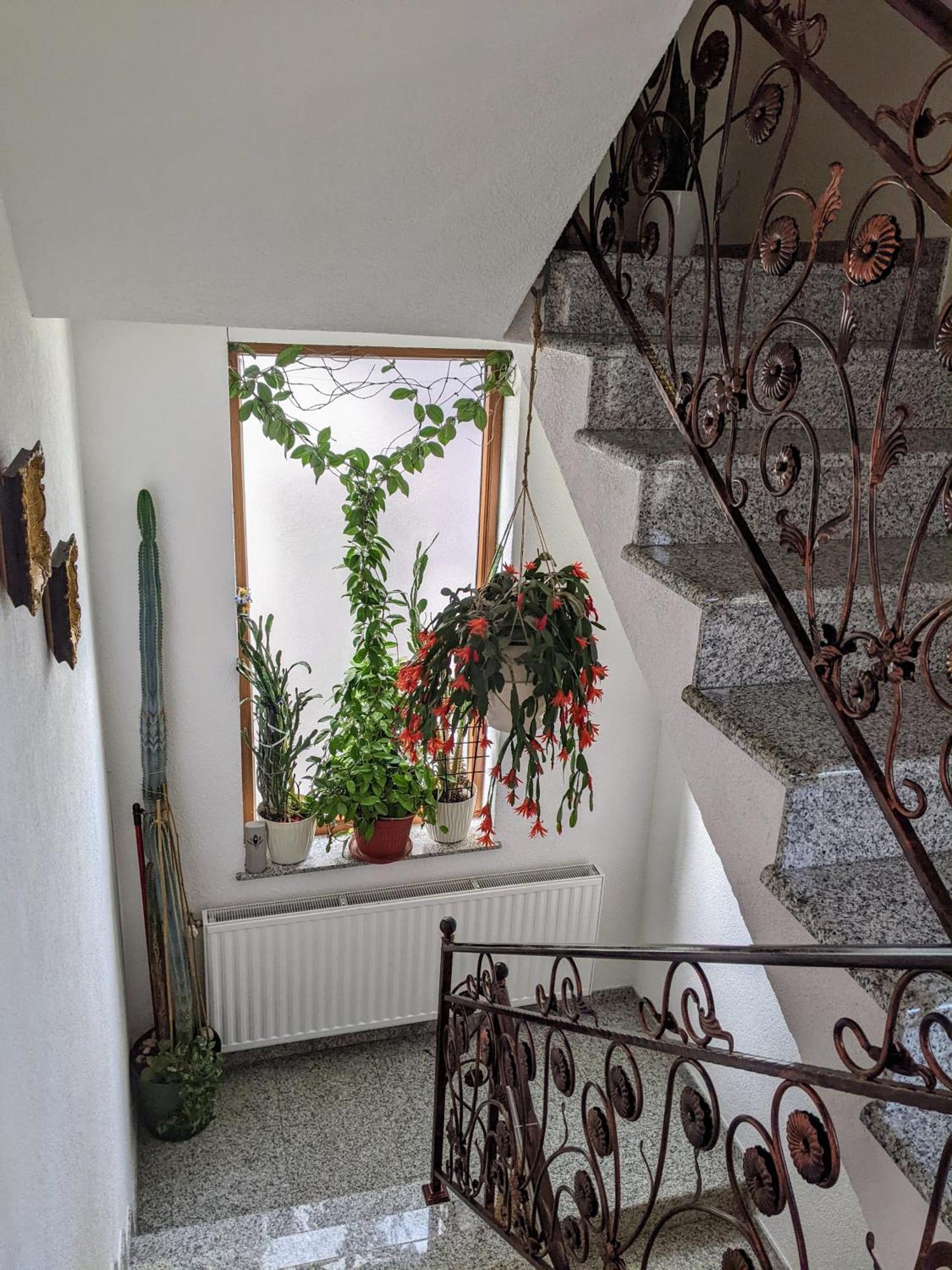 Apartmani Hrastik บีฮัช ภายนอก รูปภาพ