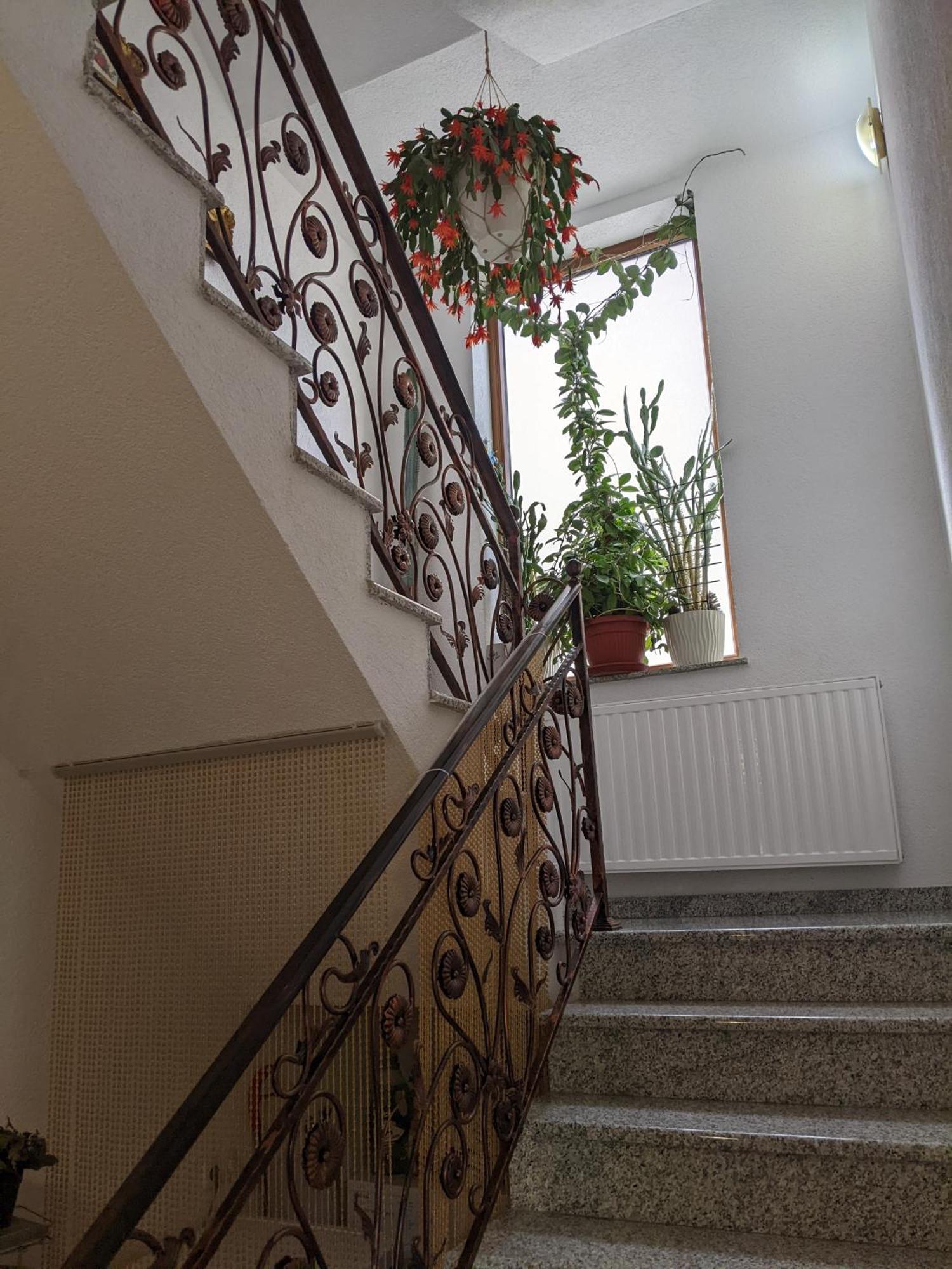Apartmani Hrastik บีฮัช ภายนอก รูปภาพ